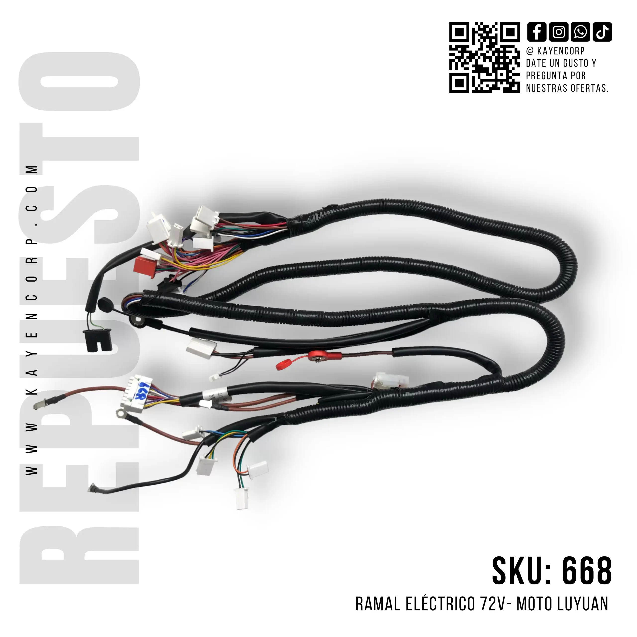 ramal-electrico-72v-moto-luyuan