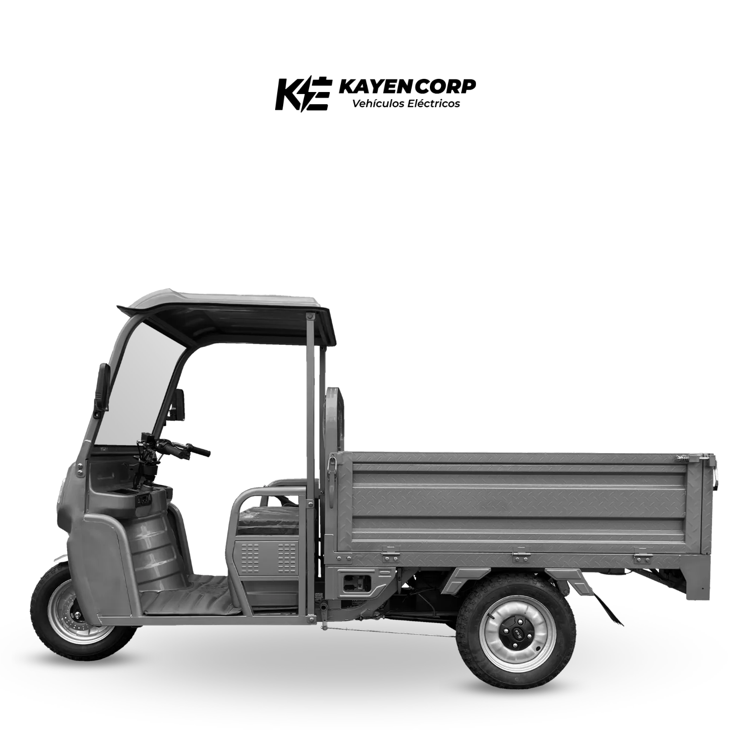 Carguero Electrico Asturdicar